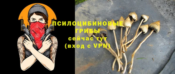 таблы Армянск