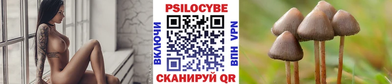 Псилоцибиновые грибы Psilocybe  Светлоград 